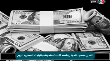 تعديل سعر.. الدولار يشهد تقلبات ملحوظة بالبنوك المصرية اليوم